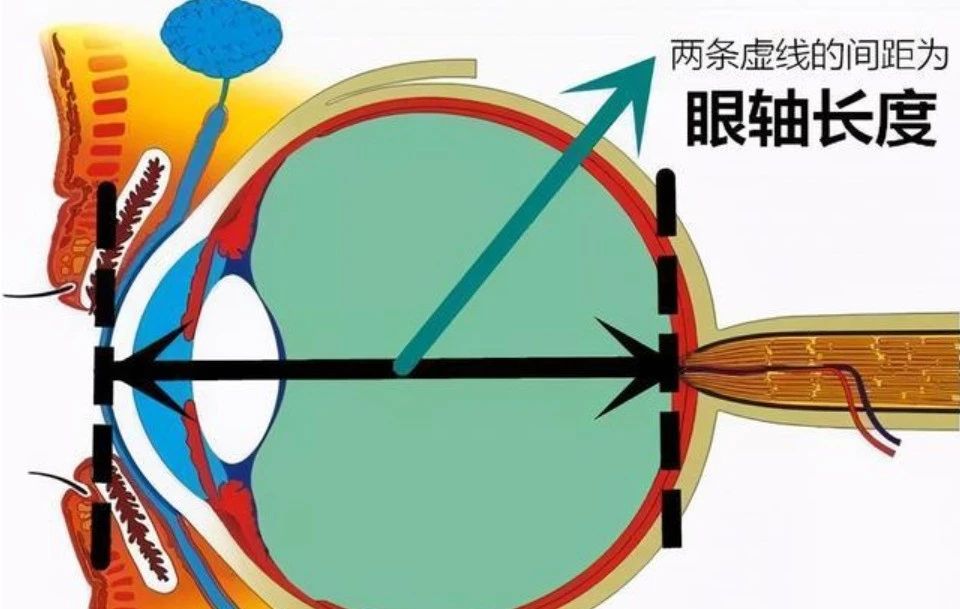 微信圖片_20210421174601.jpg