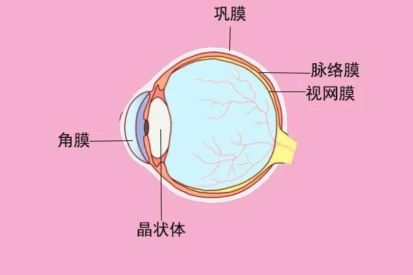 微信图片_20210322163722.jpg